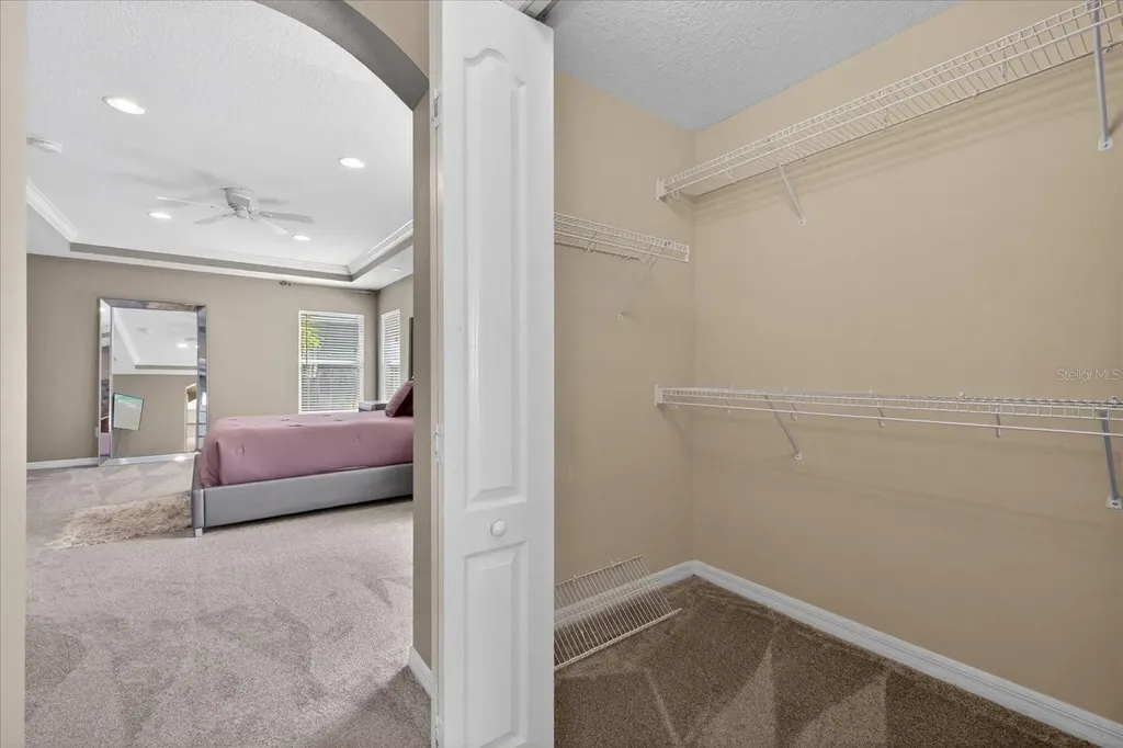 11115 Avery Oaks Drive Tampa FL 33625