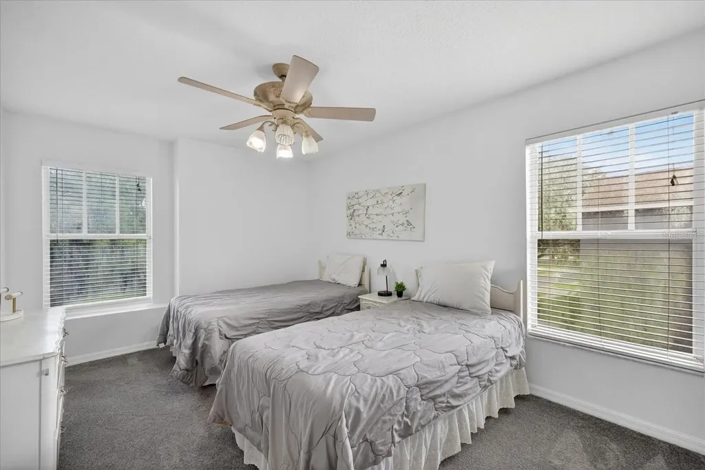 11115 Avery Oaks Drive Tampa FL 33625