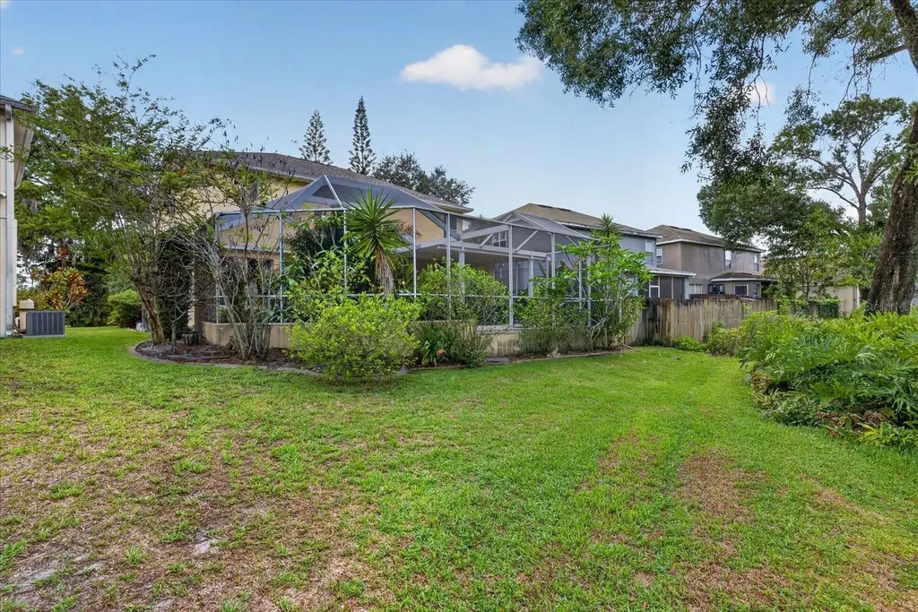 11115 Avery Oaks Drive Tampa FL 33625