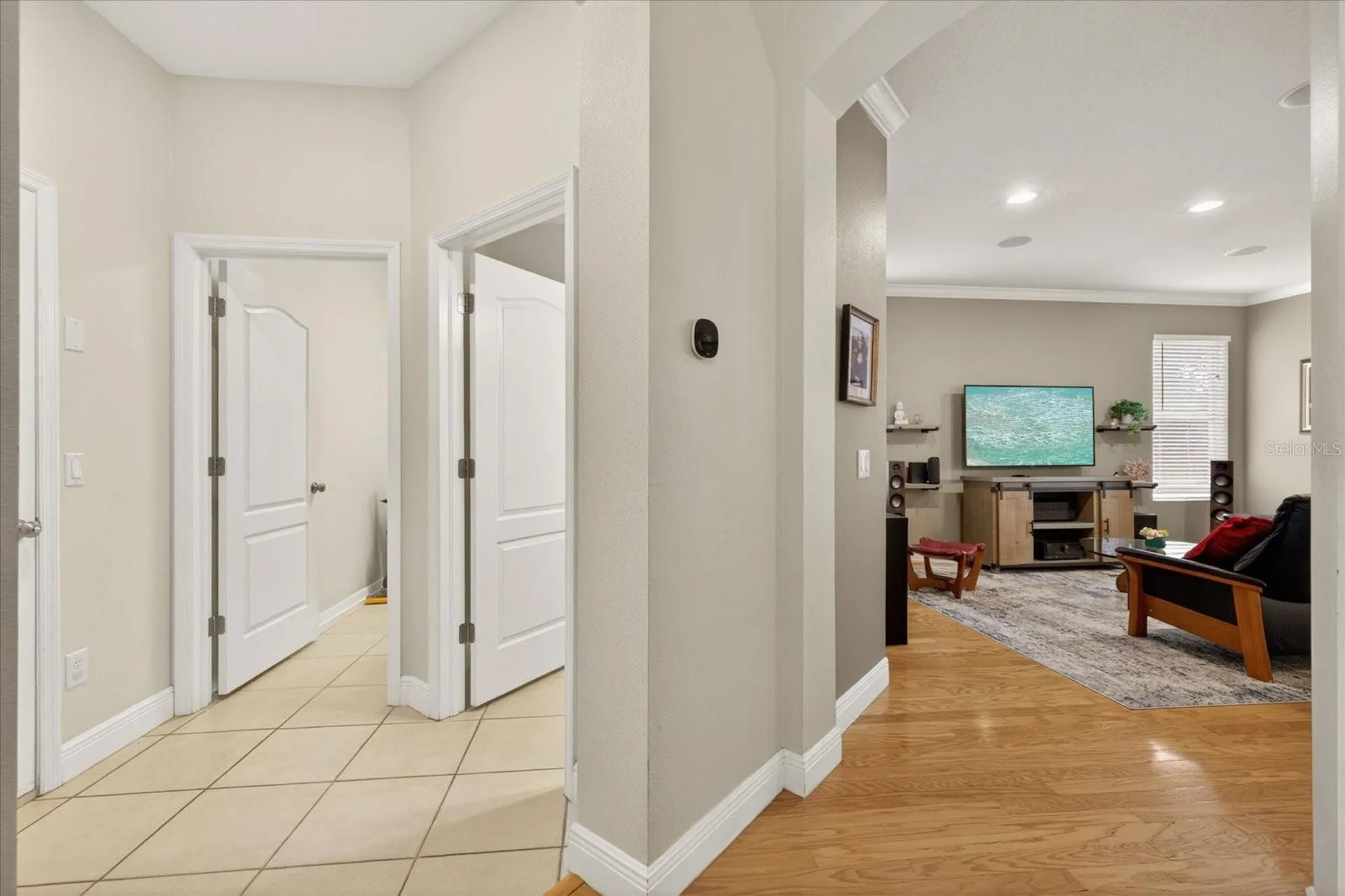 11115 Avery Oaks Drive Tampa FL 33625