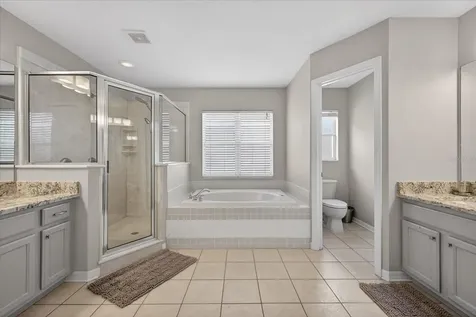 11115 Avery Oaks Drive Tampa FL 33625