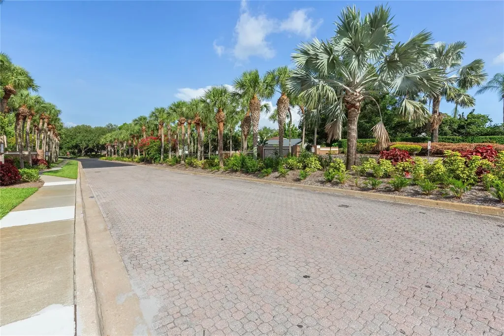 2653 Landing Way Palm Harbor FL 34684