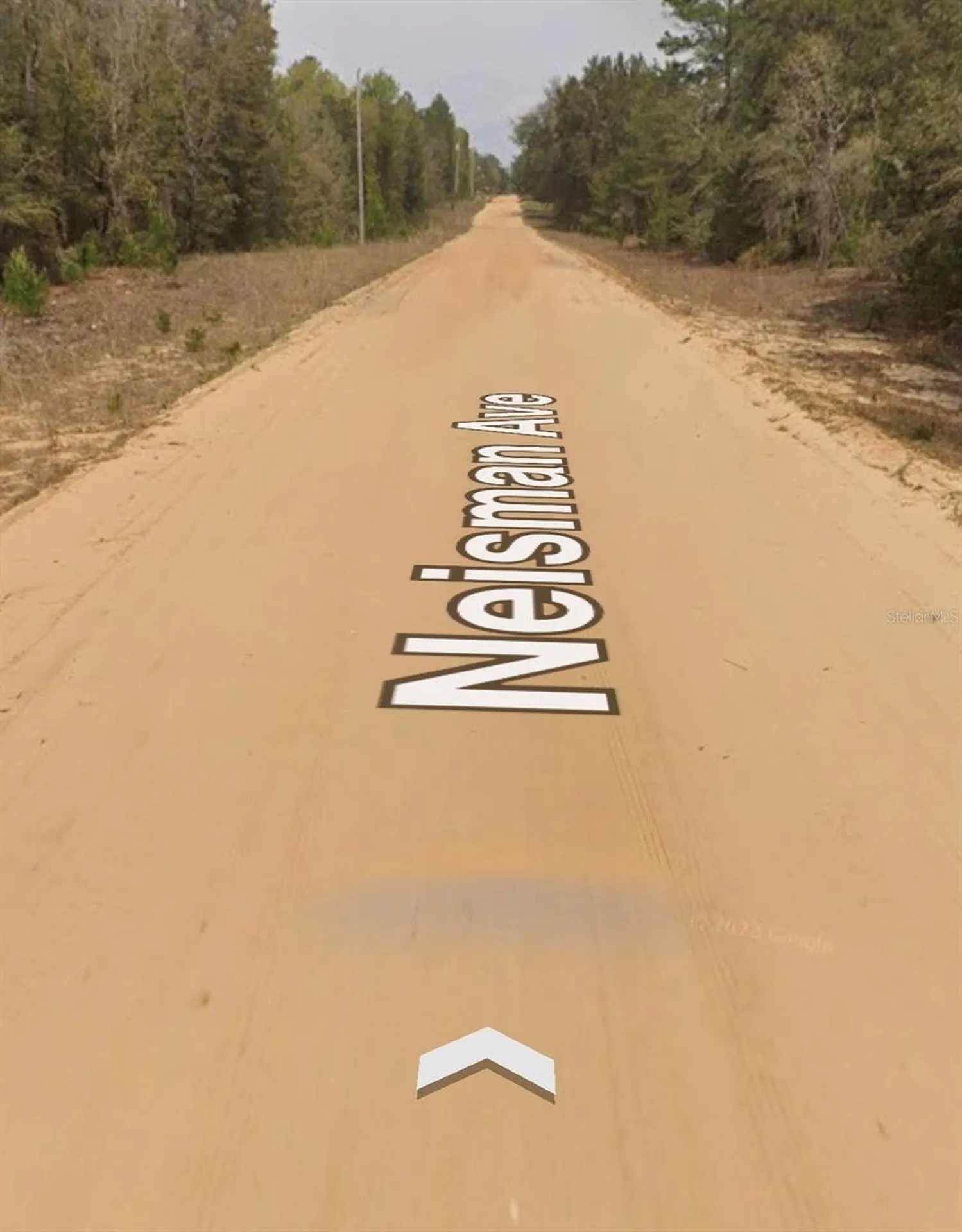 Neisman Interlachen FL 32148