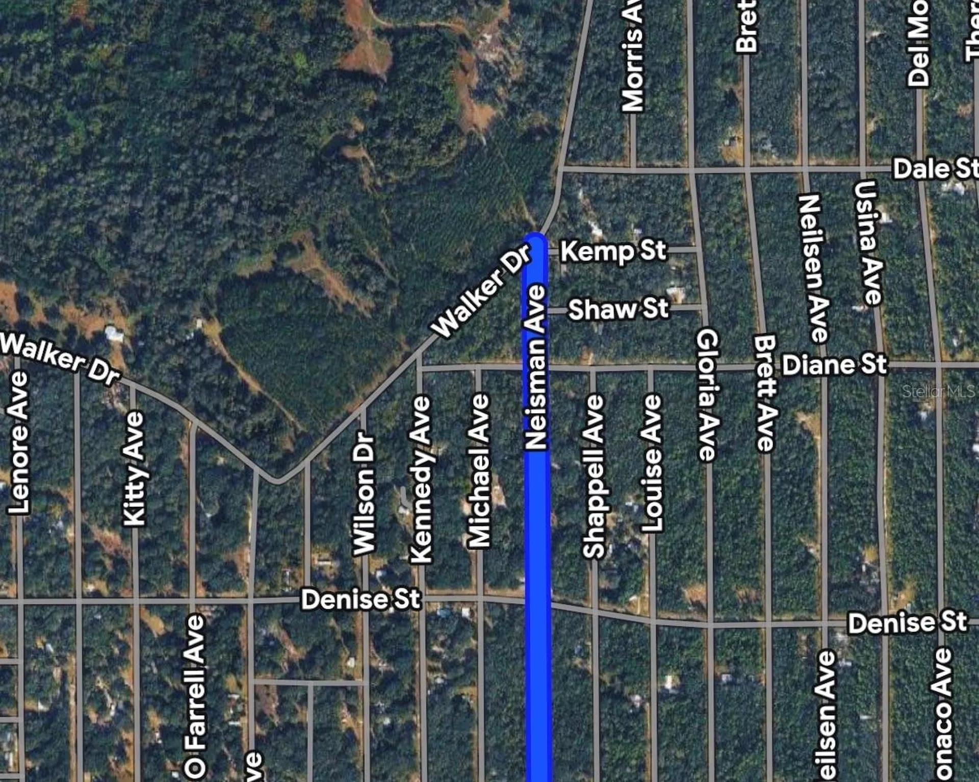 Neisman Interlachen FL 32148