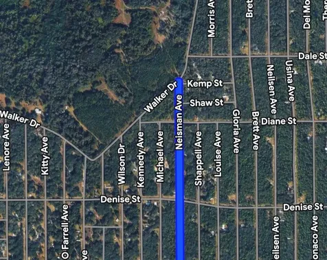 Neisman Interlachen FL 32148