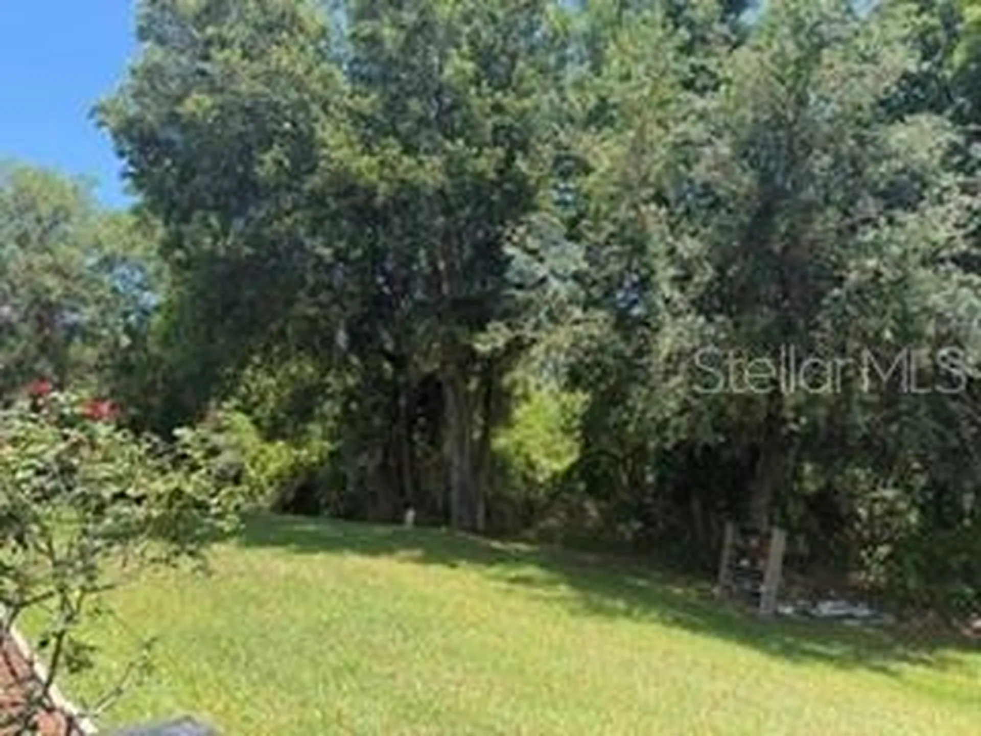 26912 Becker Court Leesburg FL 34748