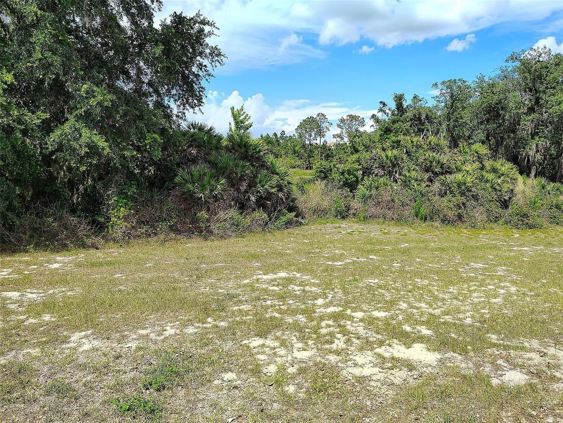 1047 Oak Bluff Drive Davenport FL 33837