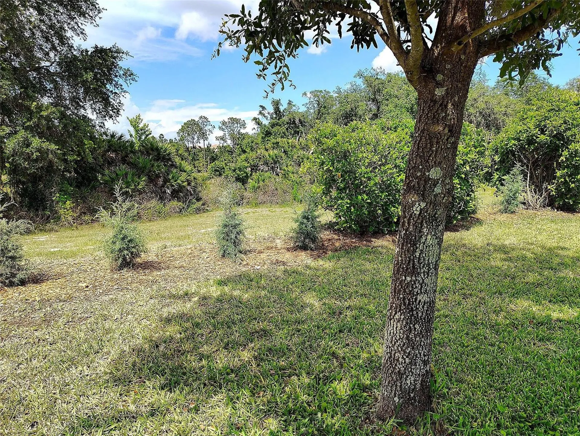 1047 Oak Bluff Drive Davenport FL 33837