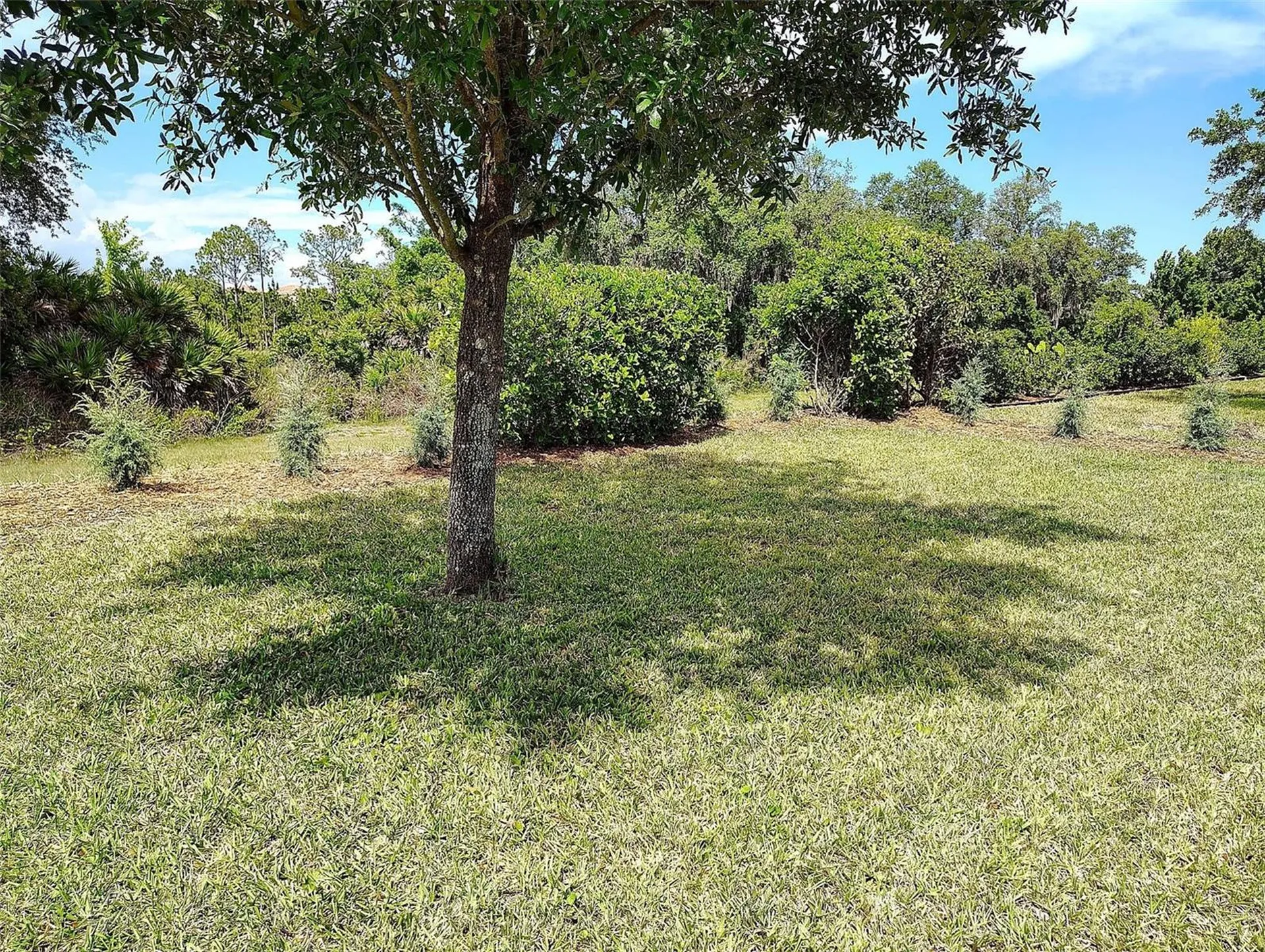 1047 Oak Bluff Drive Davenport FL 33837