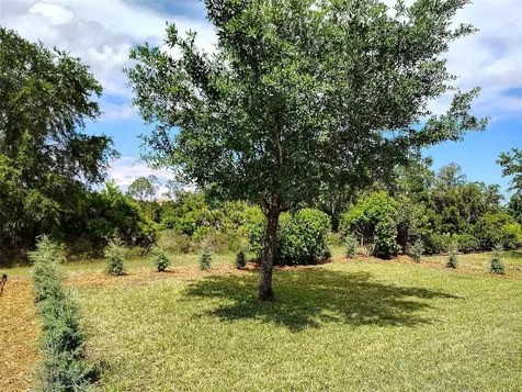 1047 Oak Bluff Drive Davenport FL 33837