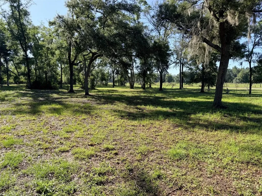 794 NE 521 Street Old Town FL 32680