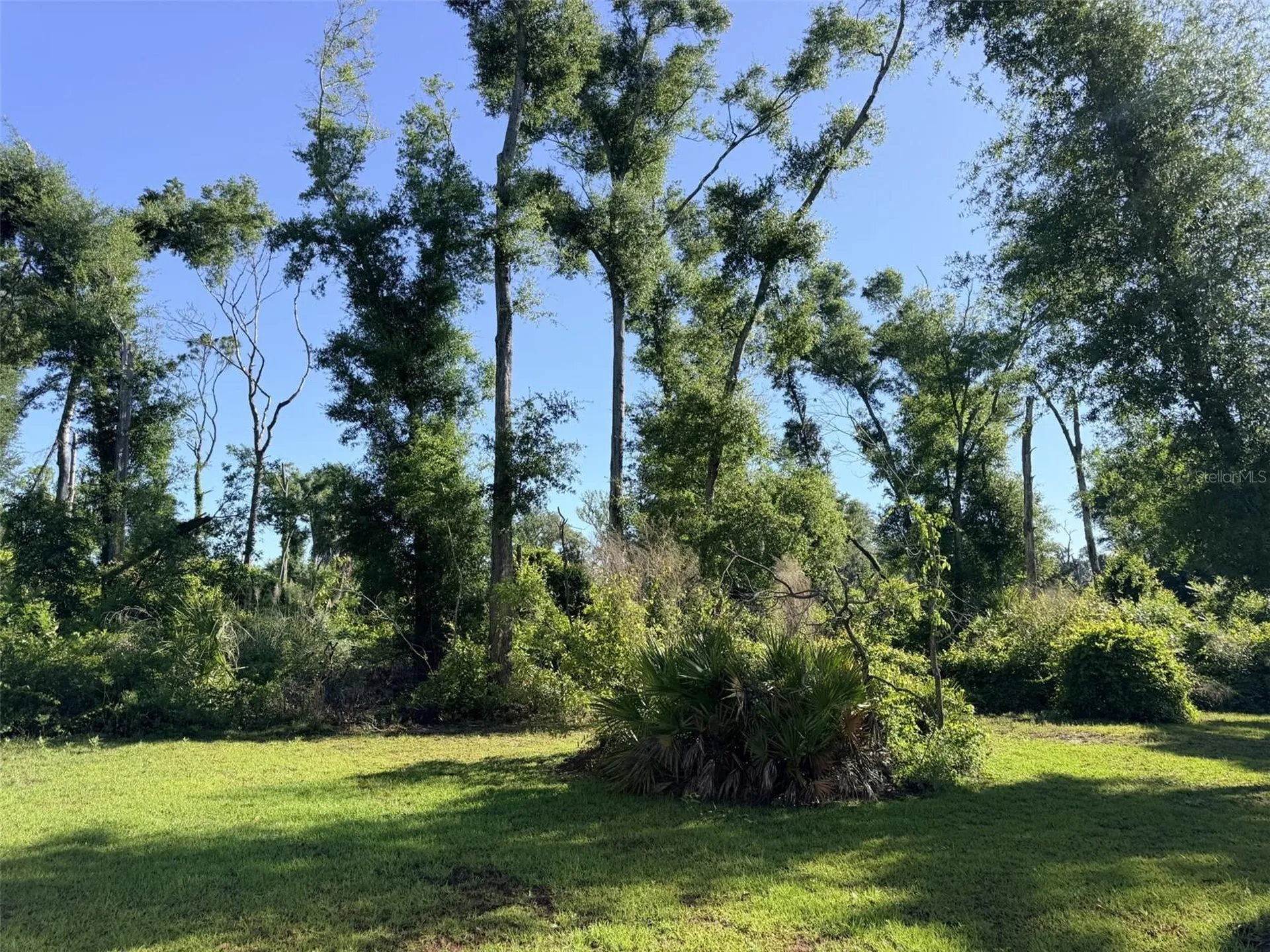 794 NE 521 Street Old Town FL 32680