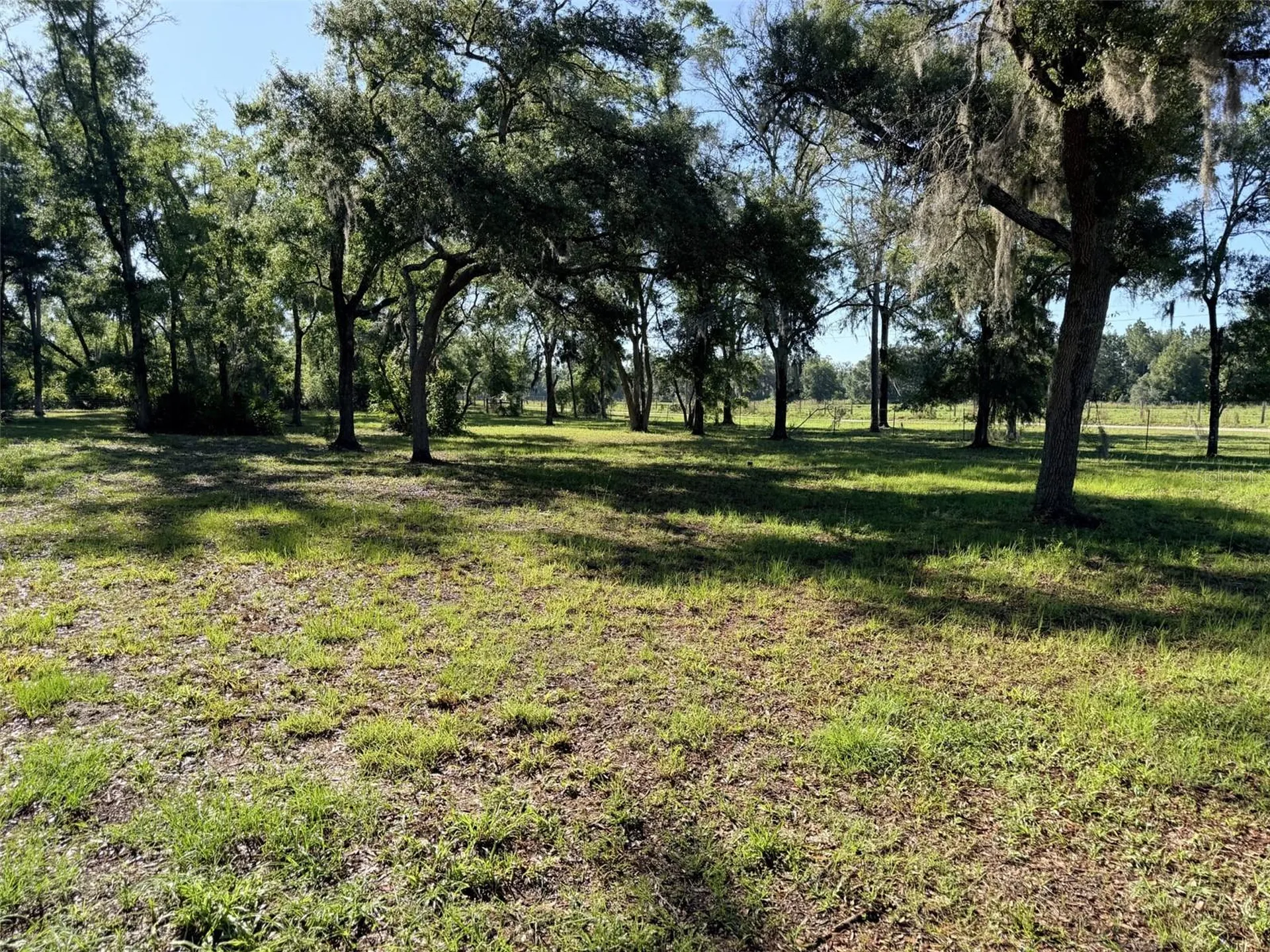 794 NE 521 Street Old Town FL 32680