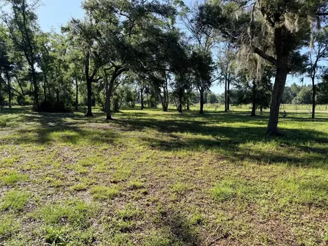 794 NE 521 Street Old Town FL 32680