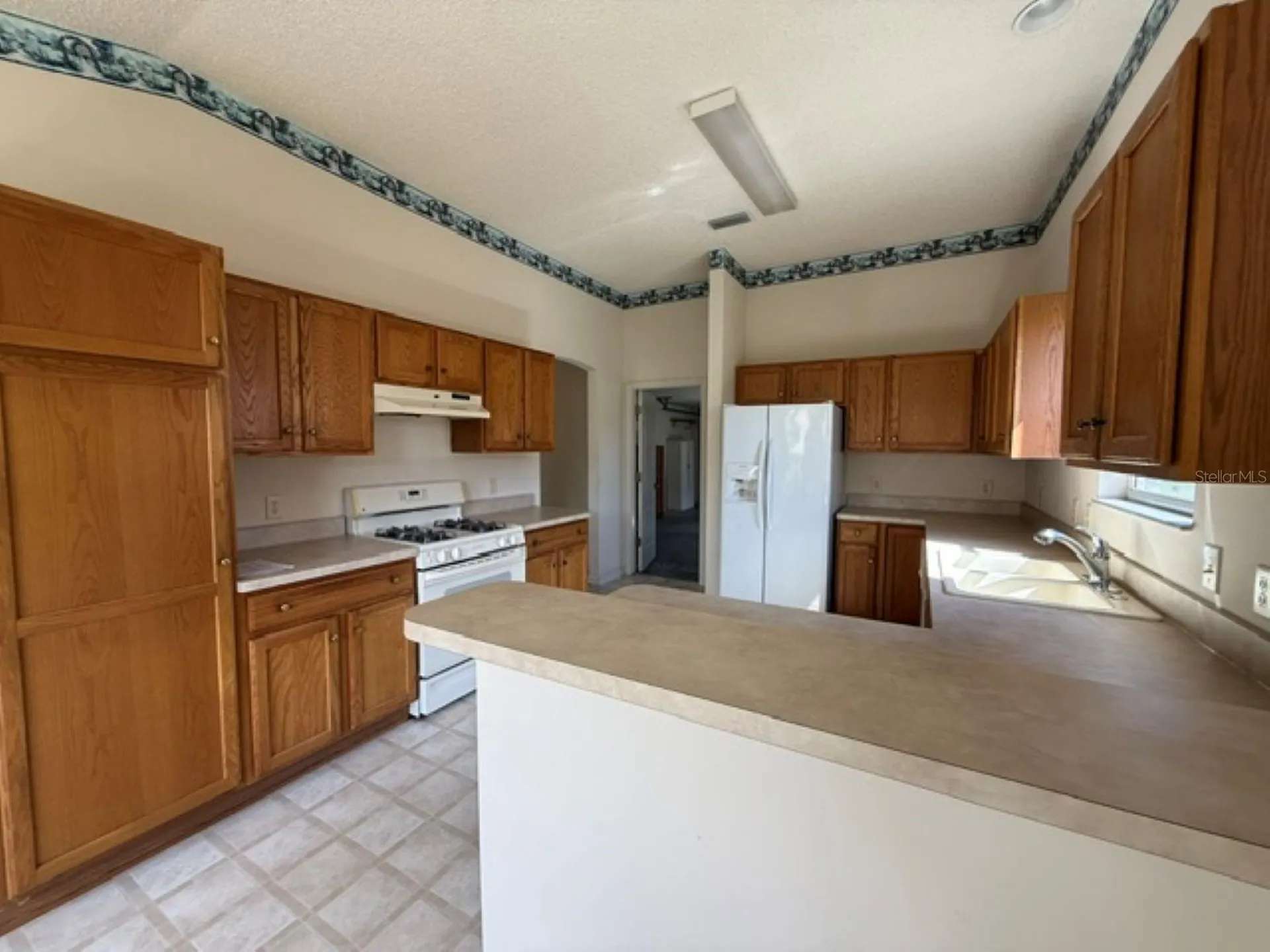 3001 Saint Thomas Lane The Villages FL 32162