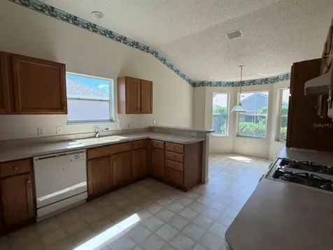 3001 Saint Thomas Lane The Villages FL 32162