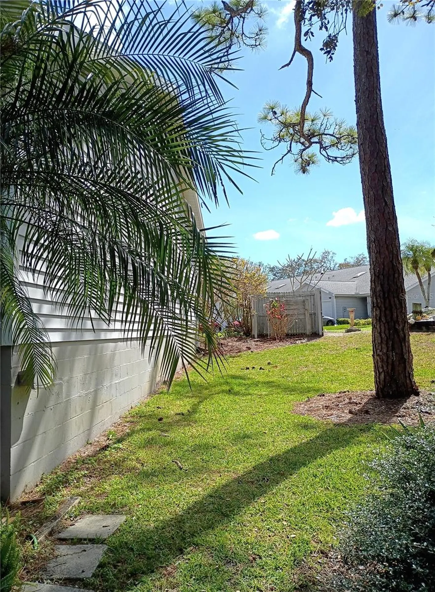 39650 Us Highway 19 N Tarpon Springs FL 34689