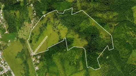 971 Km 14.5 Bo. Duque Naguabo PR 00718