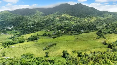 971 Km 14.5 Bo. Duque Naguabo PR 00718
