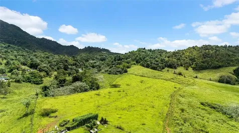 971 Km 14.5 Bo. Duque Naguabo PR 00718