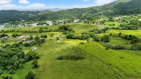 971 Km 14.5 Bo. Duque Naguabo PR 00718