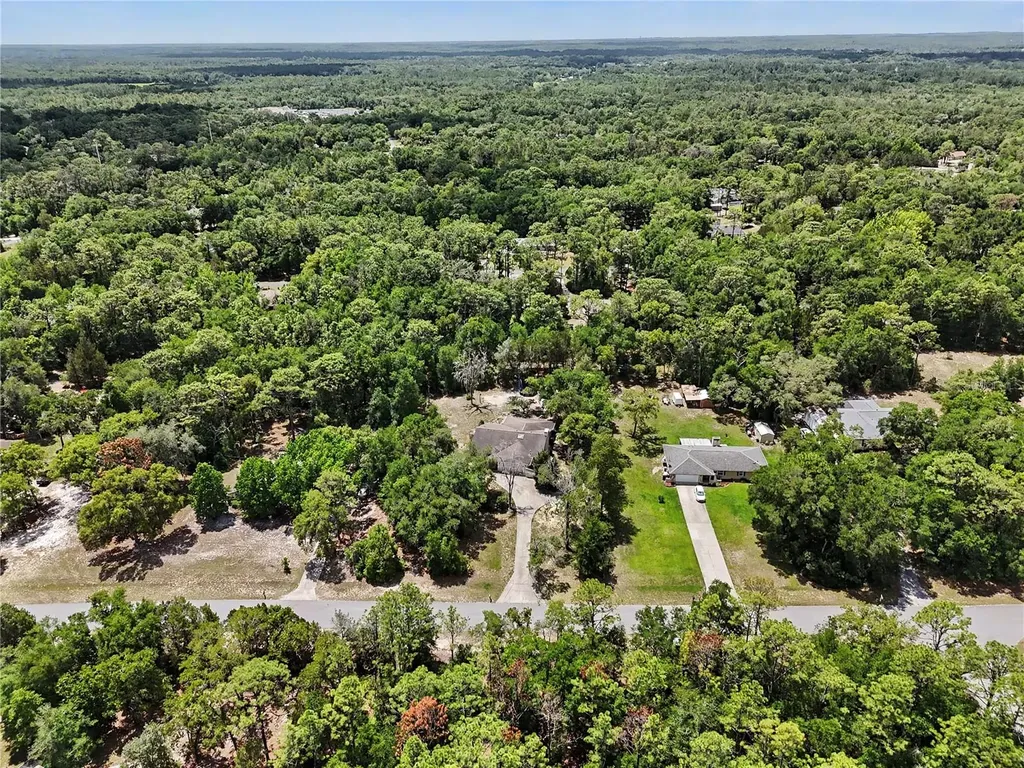 20250 SW 93 Lane Road Dunnellon FL 34431