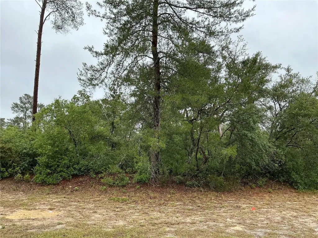SW 20th Court Ocala FL 34473