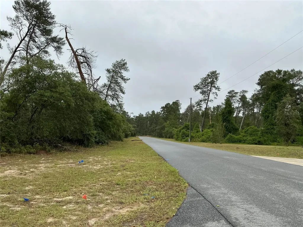 SW 20th Court Ocala FL 34473