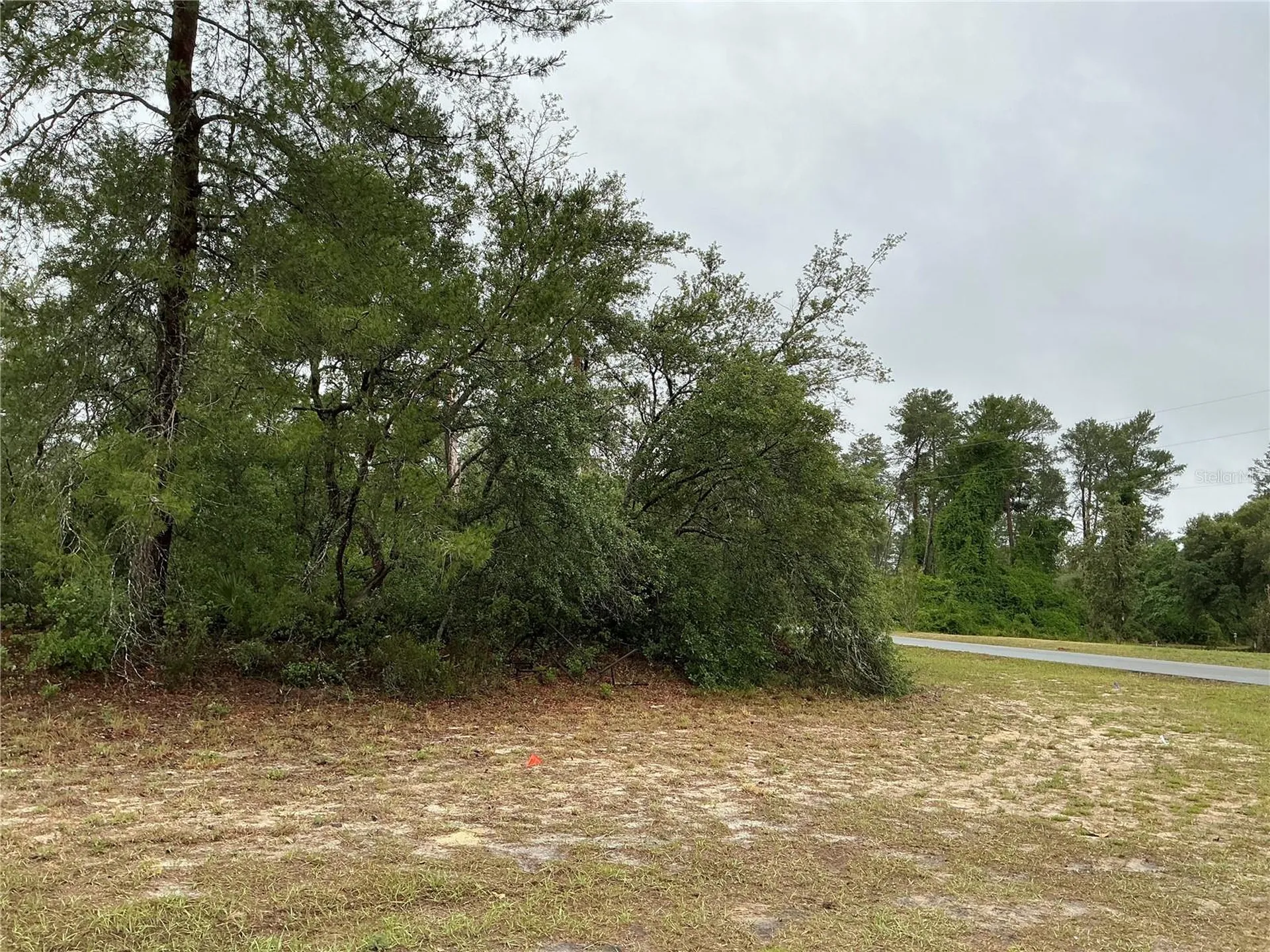 SW 20th Court Ocala FL 34473