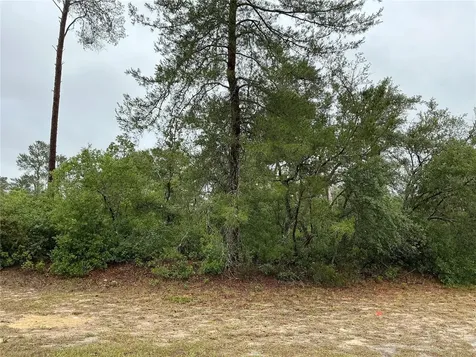 SW 20th Court Ocala FL 34473