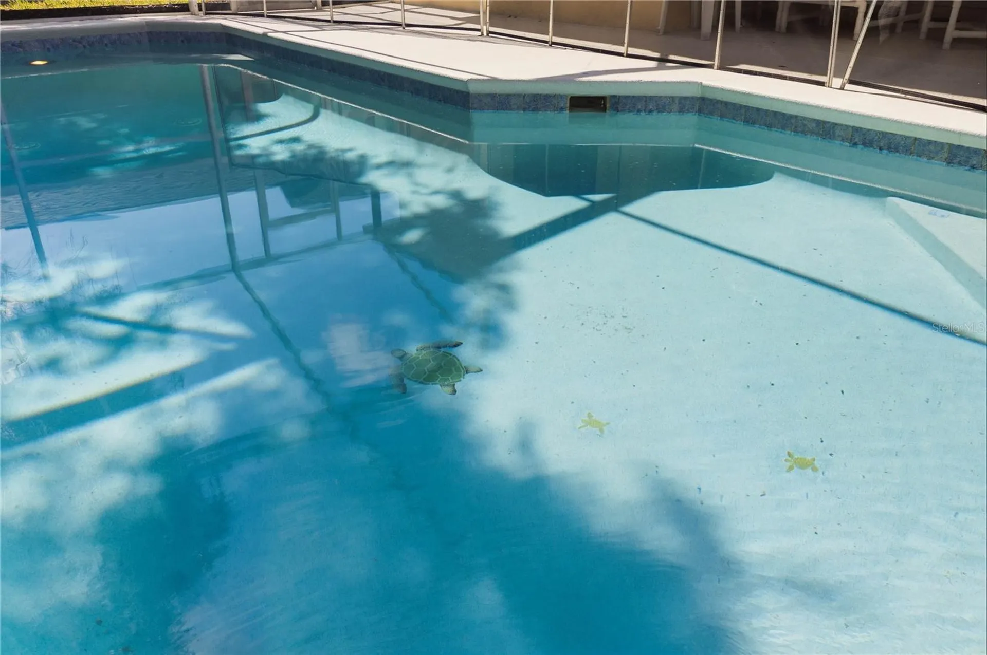 446 Reserve Drive Davenport FL 33896