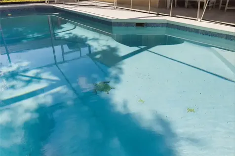 446 Reserve Drive Davenport FL 33896