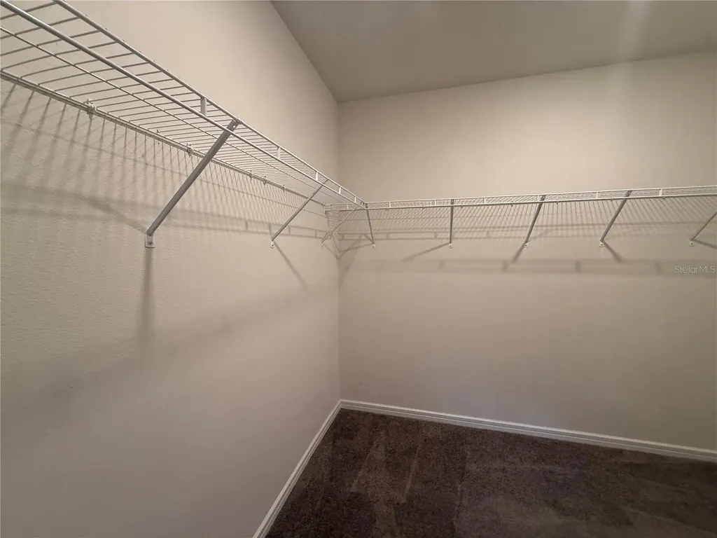 30596 Thunderbird Drive Wesley Chapel FL 33545