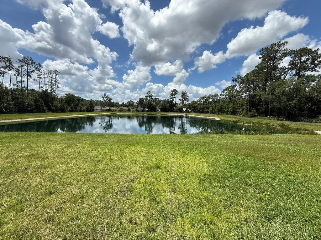 30596 Thunderbird Drive Wesley Chapel FL 33545