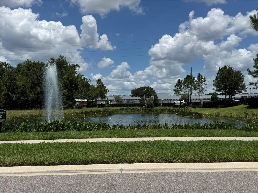 30596 Thunderbird Drive Wesley Chapel FL 33545