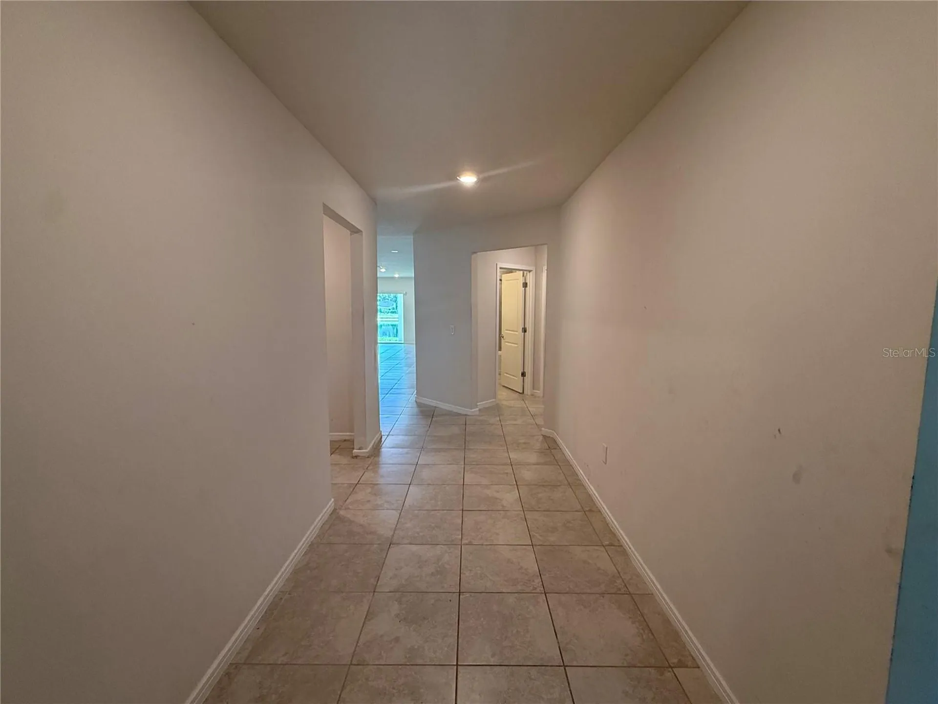 30596 Thunderbird Drive Wesley Chapel FL 33545