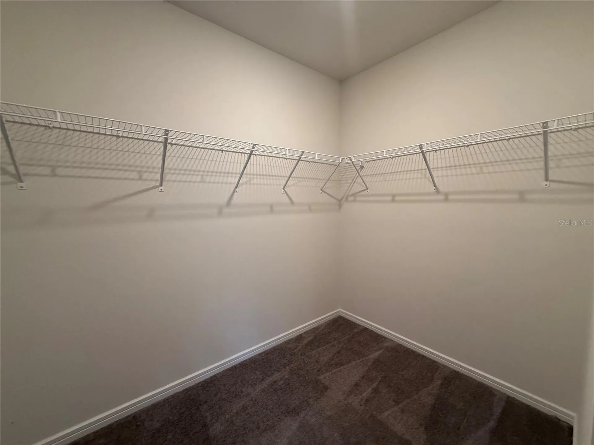 30596 Thunderbird Drive Wesley Chapel FL 33545