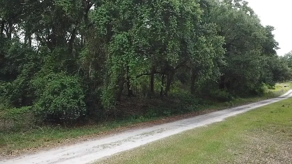 SE 175th Place Umatilla FL 32784