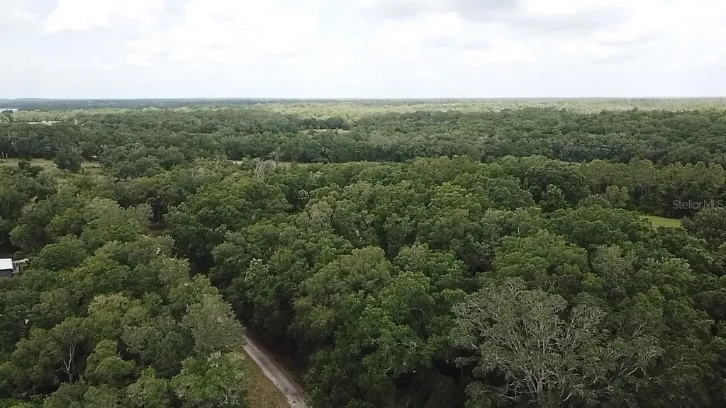 SE 175th Place Umatilla FL 32784