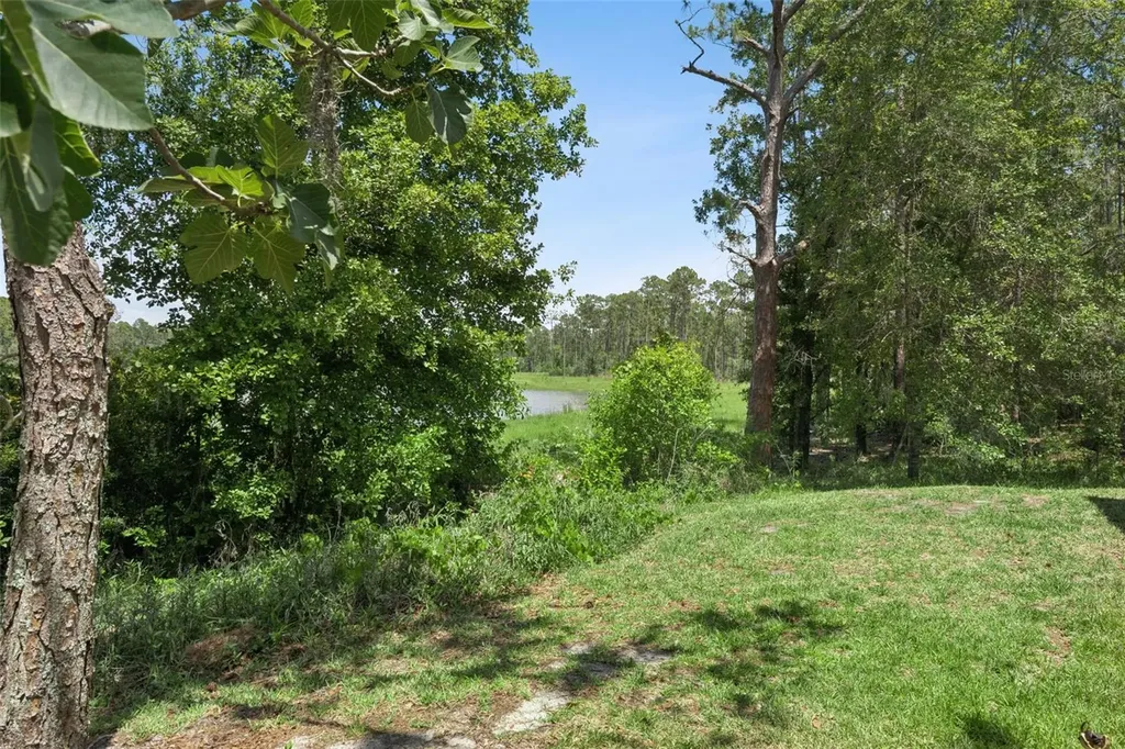 14005 Sparkling Cove Lane Windermere FL 34786