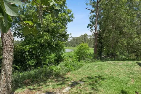 14005 Sparkling Cove Lane Windermere FL 34786