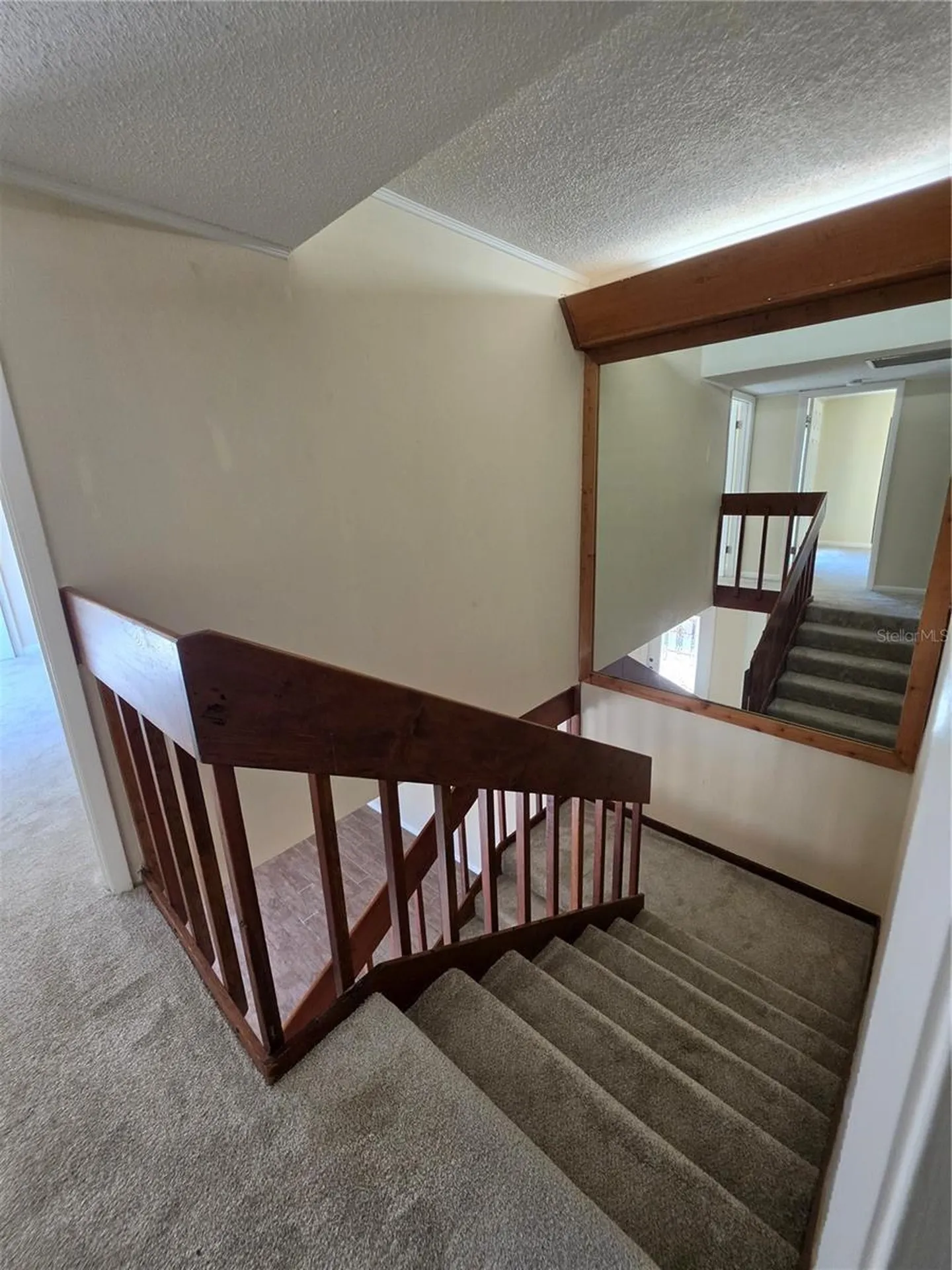 3824 Saxon Drive New Smyrna Beach FL 32169