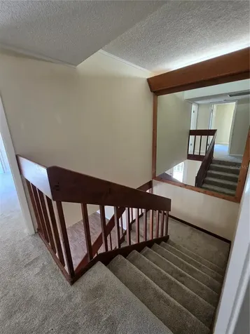 3824 Saxon Drive New Smyrna Beach FL 32169