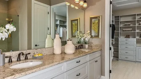 30105 Imperati Boulevard Wesley Chapel FL 33543