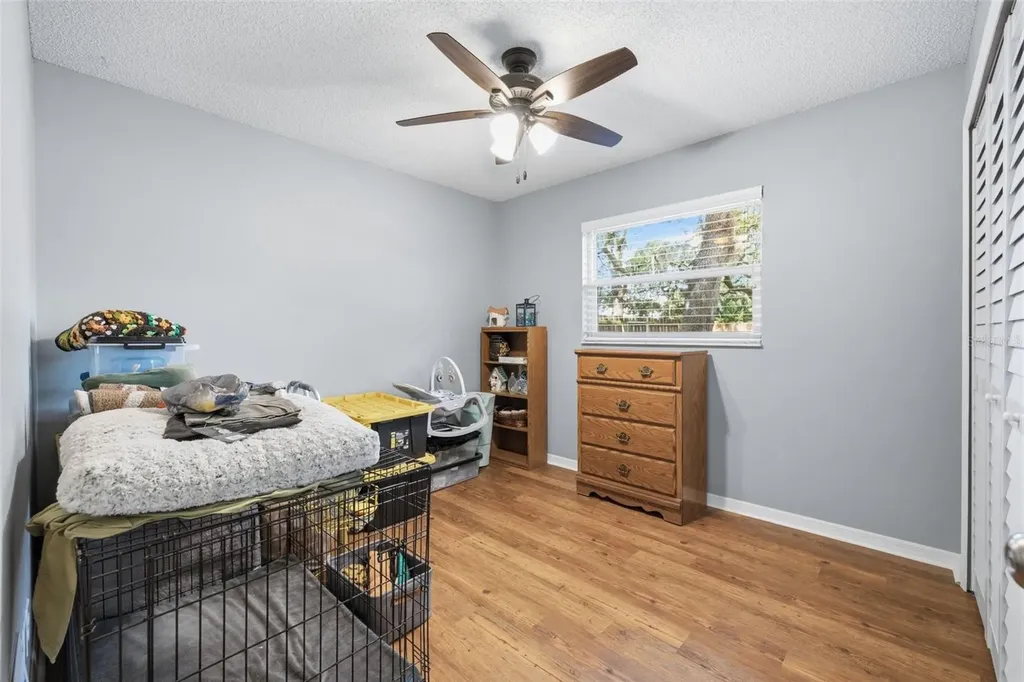 3301 Briarwood Lane Safety Harbor FL 34695