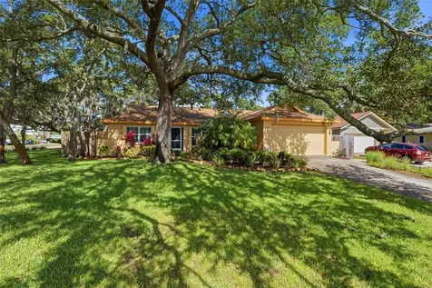 3301 Briarwood Lane Safety Harbor FL 34695