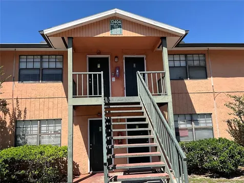 12404 Hibiscus Oak Place Tampa FL 33612