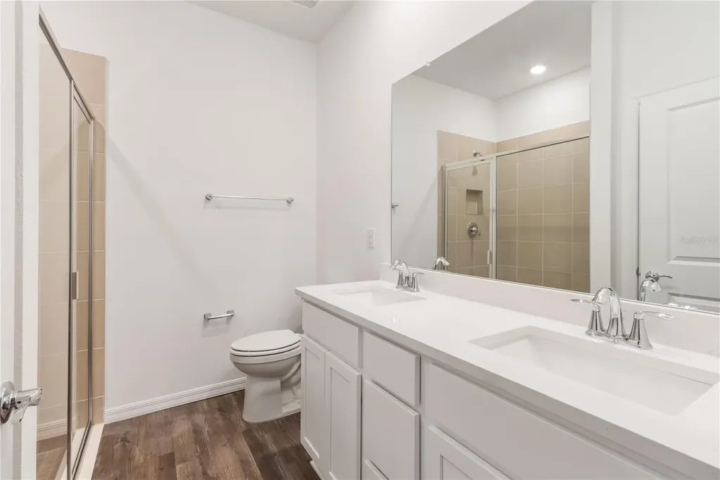 31365 Paper Birch Street Wesley Chapel FL 33545