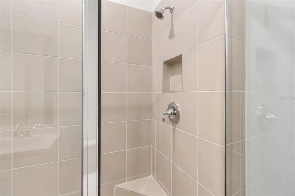 31365 Paper Birch Street Wesley Chapel FL 33545
