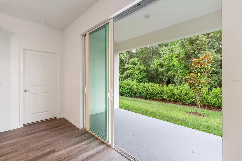 31365 Paper Birch Street Wesley Chapel FL 33545